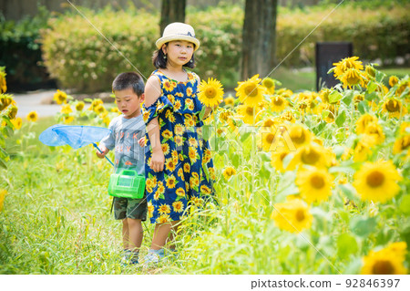 Boys and girls photographed in the blooming hills of Blumen, Shiga Agricultural Park in Hino Town, Gamo District, Shiga Prefecture Boys and girls photographed in the blooming hills of Blumen, Shiga Agricultural Park in Hino Town, Gamo District, Shiga Prefecture 92846397
