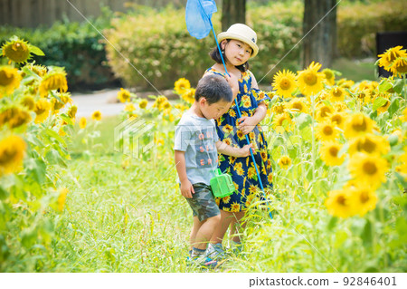 Boys and girls photographed in the blooming hills of Blumen, Shiga Agricultural Park in Hino Town, Gamo District, Shiga Prefecture Boys and girls photographed in the blooming hills of Blumen, Shiga Agricultural Park in Hino Town, Gamo District, Shiga Prefecture 92846401