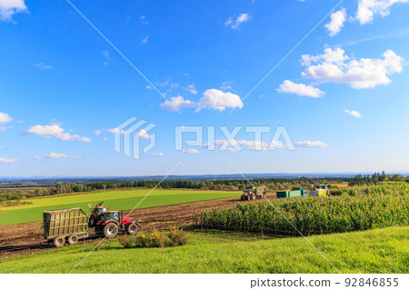 使用拖拉機“秋季北海道”收穫馬齒玉米 92846855