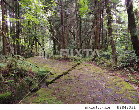 老中山道有新鮮的綠色植物和苔蘚落合石路面 92848031