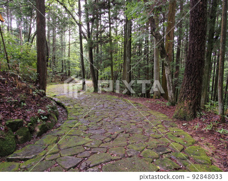Old Nakasendo with fresh greenery and moss Ochiai stone pavement Old Nakasendo with fresh greenery and moss Ochiai stone pavement 92848033