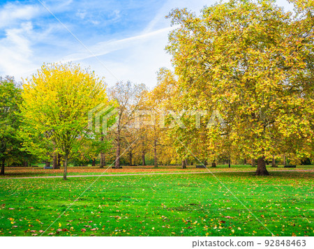 Autumn London Green Park Autumn London Green Park 92848463