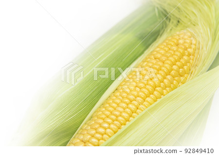 Corn Corn 92849410