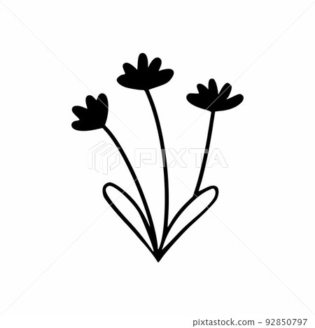 Cornflower in style of doodle. Flower icon for postcard design. Cornflower in style of doodle. Flower icon for postcard design. 92850797