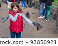 Feeding pigeons in the park. Girl feeds pigeons in London park 92850921