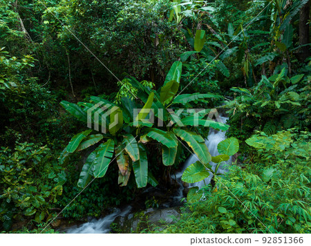 Aerial view of beautiful tropical forest mountain landscape Aerial view of beautiful tropical forest mountain landscape 92851366