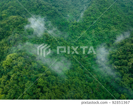 Aerial view of beautiful forest mountain landscape 92851367