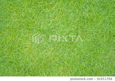 Green lawn Green lawn 92851768