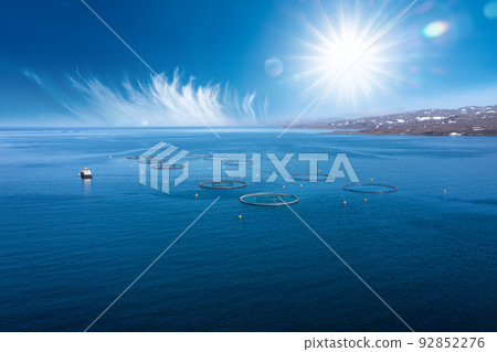 Farm salmon fishing in Norway 92852276