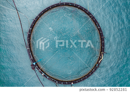 Farm salmon fishing in Norway 92852281