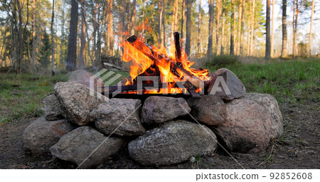 Burning Campfire in the forest 92852608