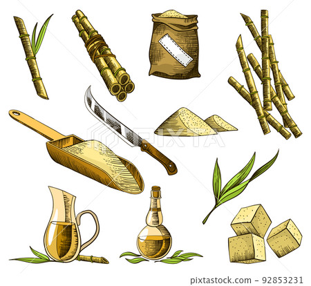 Cane sugar. Set of product from sugarcane plants. Engraving hand drawn natural organic food and natural ingredients. Fresh squeezed sugarcane in glass, sugar in heap and cubes, bamboo and rum Cane sugar. Set of product from sugarcane plants. Engraving hand drawn natural organic food and natural ingredients. Fresh squeezed sugarcane in glass, sugar in heap and cubes, bamboo and rum 92853231