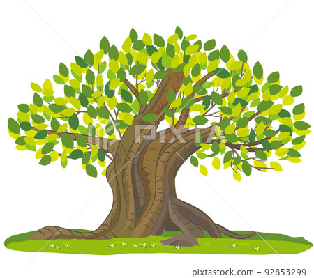 大樹的矢量圖解 92853299