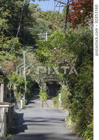 A back alley I found while walking in Kamakura 92853560