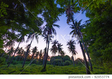 印度尼西亞吉利美諾島的日落 92853774