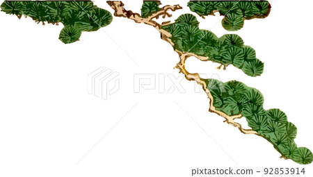 Pine branches 92853914
