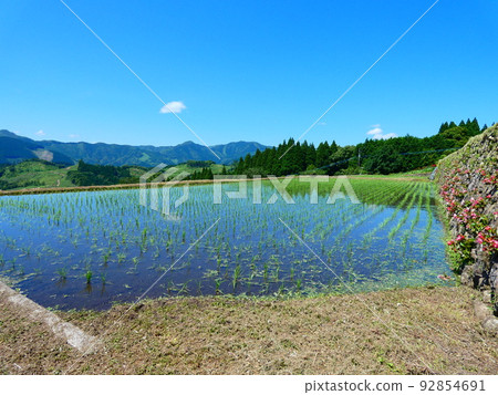 Rice terraces Rice terraces 92854691