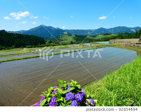 Rice terraces Rice terraces 92854694