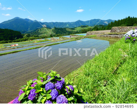 水稻梯田 水稻梯田 92854695