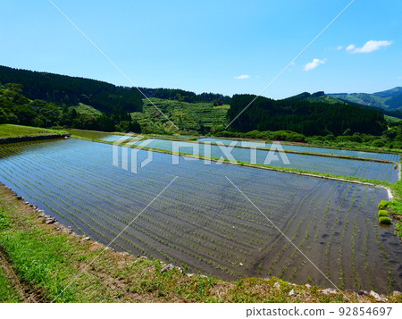 水稻梯田 水稻梯田 92854697