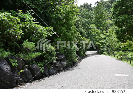 Nature trail in Higashiyama Zoo 92855263