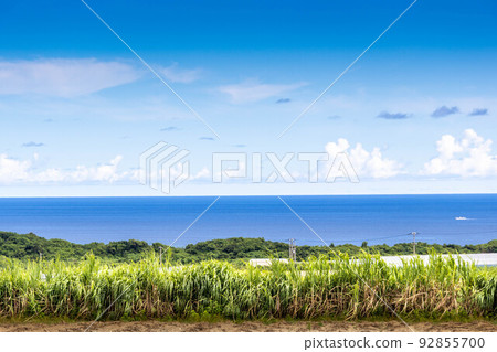 沖繩風光擁有甘蔗和大海美景的房屋 沖繩風光擁有甘蔗和大海美景的房屋 92855700