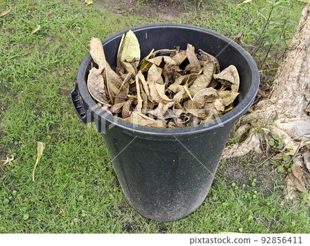 dry leaves in a black trash can in the park dry leaves in a black trash can in the park 92856411