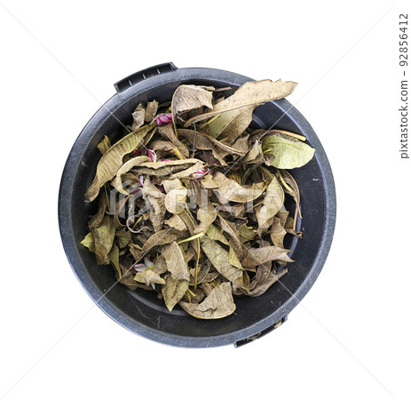 dry leaves in a black trash can dry leaves in a black trash can 92856412