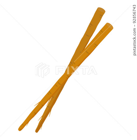 牛蒡根 牛蒡根 92856743
