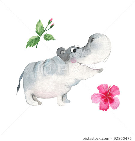 Cute baby hippo and hibiscus isolated on white background. Watercolor hand drawn illustration. Cute baby hippo and hibiscus isolated on white background. Watercolor hand drawn illustration. 92860475