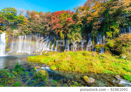 [Autumn material] Shiraito waterfall and rainbow in the autumn leaves season [Shizuoka Prefecture] 92861091