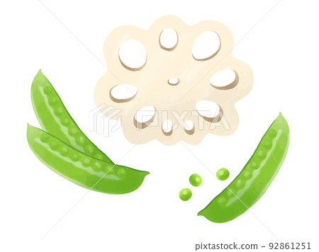 Lotus root and peas [*Please check the comment column for vector data] 92861251