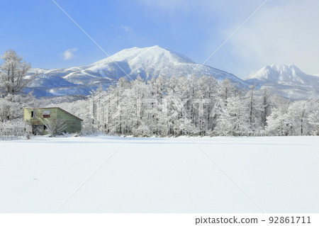 Snowy trees and Niseko mountain range in Kotohira, Kutchan-cho, Hokkaido 92861711