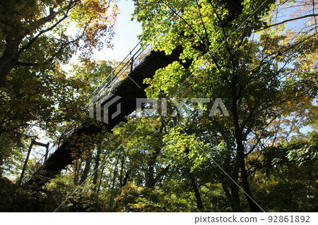 Suspension bridge_Fukidashi park_Kyogoku town Suspension bridge_Fukidashi park_Kyogoku town 92861892