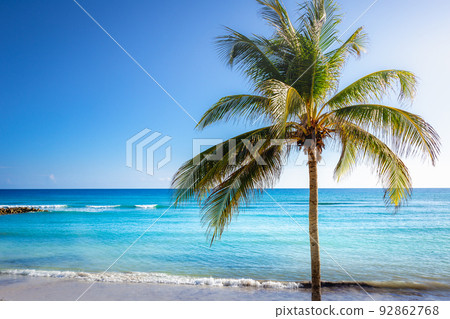 Tropical paradise: caribbean beach with single palm tree, Montego Bay, Jamaica 92862768