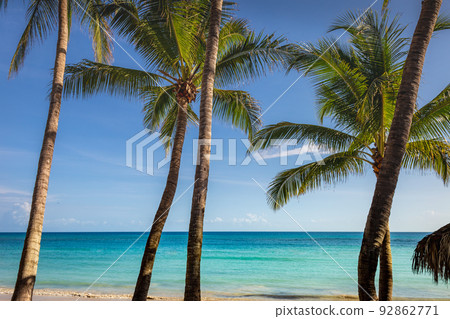 Tropical paradise: caribbean beach with palm trees, Montego Bay, Jamaica Tropical paradise: caribbean beach with palm trees, Montego Bay, Jamaica 92862771