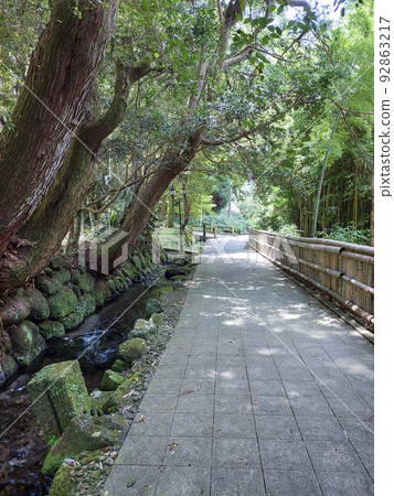 Maruike spring water at the foot of Mt. Kirishima, Kagoshima Prefecture 92863217