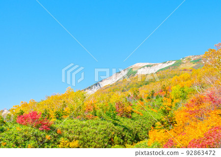Tsugaike Nature Garden (Autumn) Tsugaike Nature Garden (Autumn) 92863472