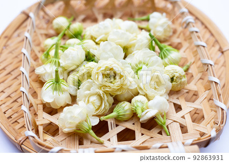 Jasmine flower on white background. 92863931
