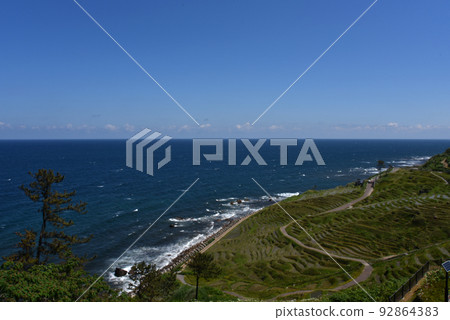 白米senmaida(石川縣輪島市) 白米senmaida(石川縣輪島市) 92864383