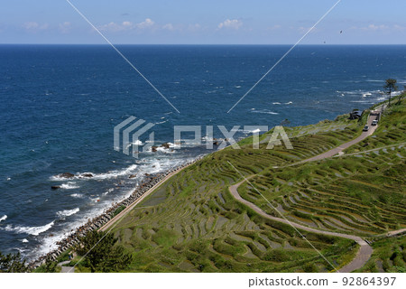 White rice senmaida (Wajima City, Ishikawa Prefecture) White rice senmaida (Wajima City, Ishikawa Prefecture) 92864397