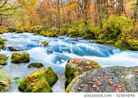 Towada City, Aomori Prefecture Oirase Gorge with Autumn Leaves ~Sanran no Nagare~ 92864846