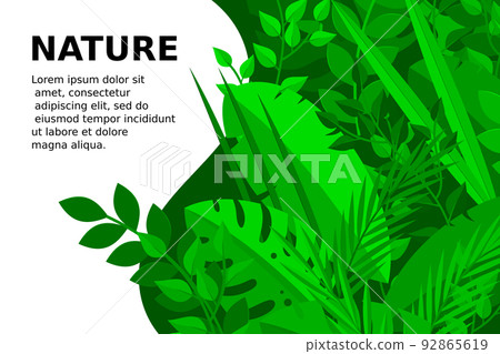 Trendy Summer Tropical Leaves Vector Design - Stock Illustration ...