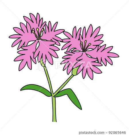 Kawaranadesico Kawaranadesico 92865646