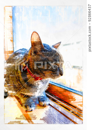 sketch style cat cat cat kijitora gray female female female cat female cat healthy pretty healing 92866437