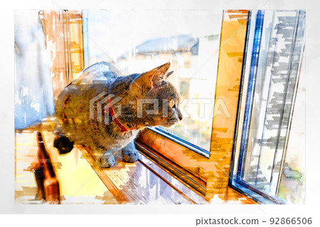 sketch style cat cat cat kijitora gray female female female cat female cat healthy pretty healing 92866506