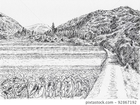 Rice terrace in the mountains Rice terrace in the mountains 92867192