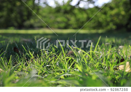 綠色地球夏天 92867288