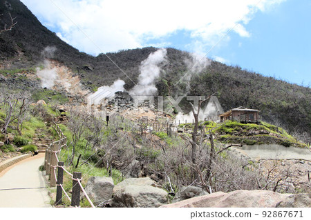 箱根大涌谷觀光、大涌谷自然研究路導遊步行、遊玩體驗之旅 92867671