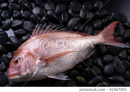 Natural red sea bream 92867891